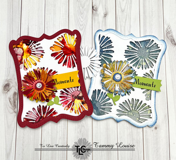 Gerbera Sunshine Daisy 2 Die