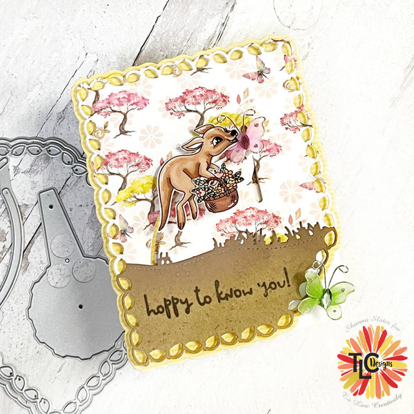 DDD Boutique Blvd Die Frame