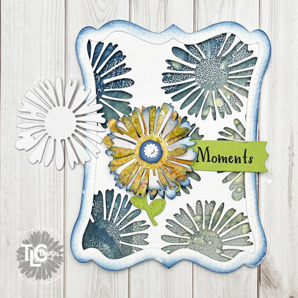 Gerbera Sunshine Daisy 2 Die