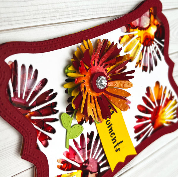 Gerbera Sunshine Daisy 2 Die