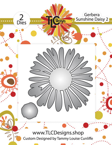 Gerbera Sunshine Daisy 2 Die